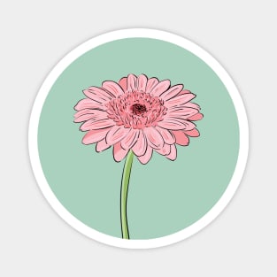 Pink Daisy Gerbera Magnet